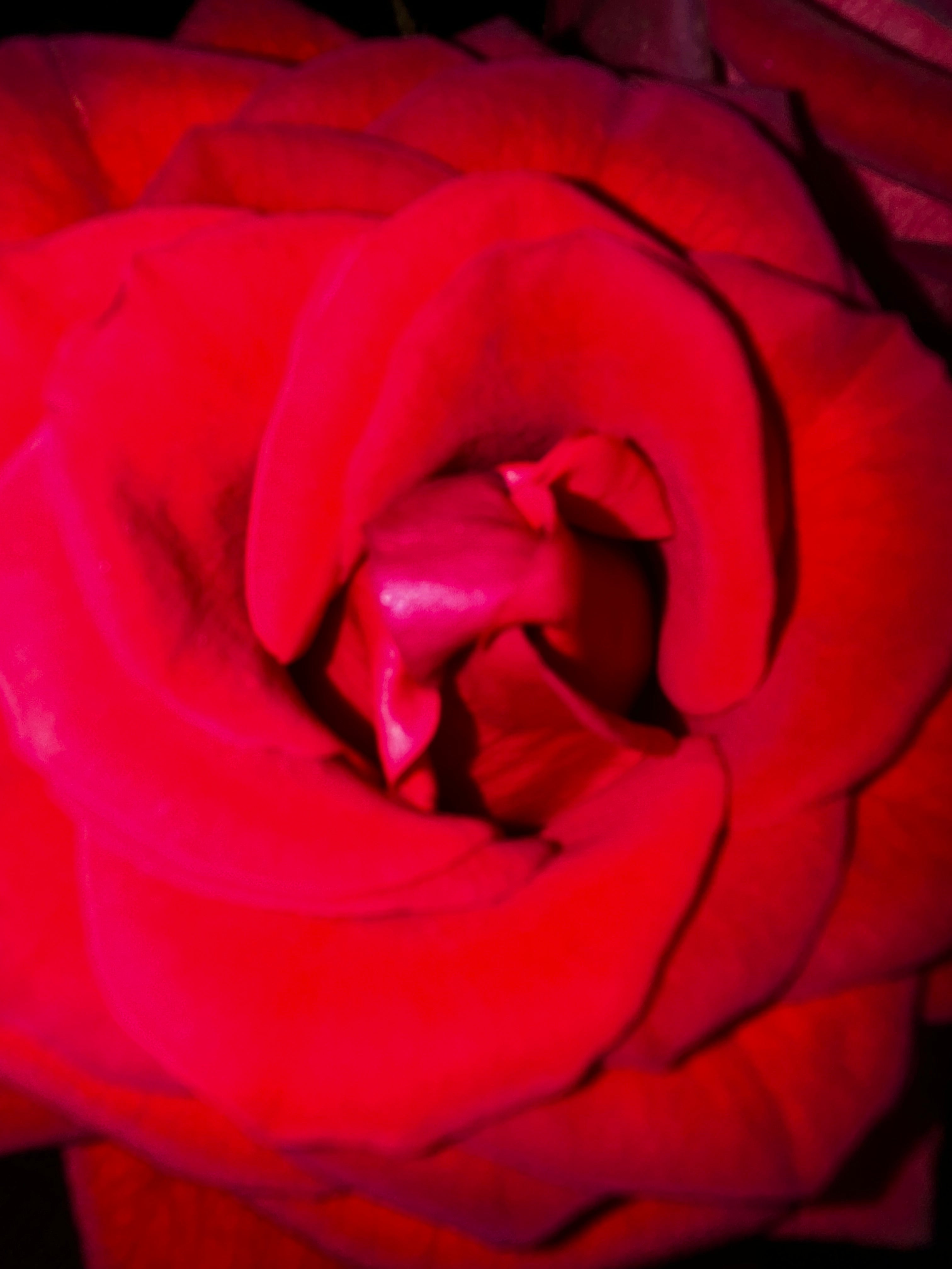 Increasing Longevity