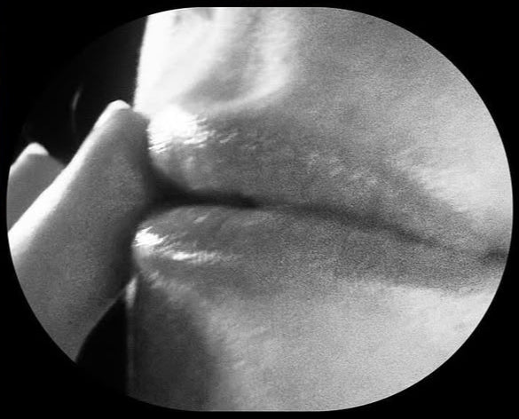 Nourishing Whipped Beef Tallow Moisturizer